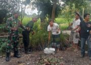 Babinsa Gerimax Indah Ajak Warga Lestarikan Lingkungan dengan Penanaman Pohon