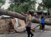Sebuah Rumah Tertimpa Pohon Tumbang, Bhabinkamtibmas dan Patroli unit Samapta Polsek Selaparang Bantu Evakuasi