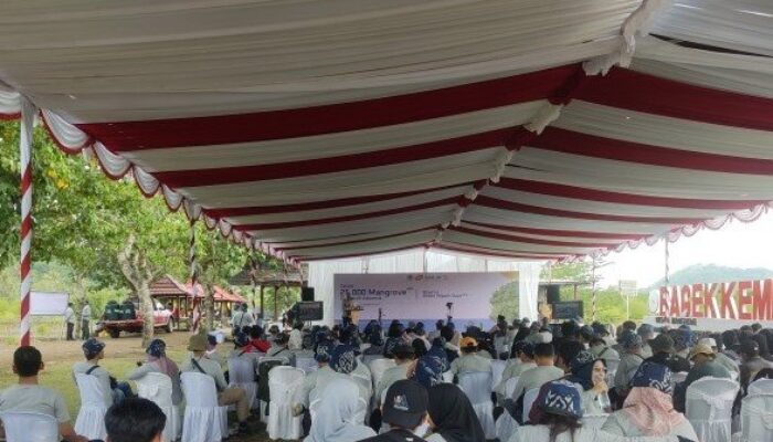 NTB Bersatu Lestarikan Alam, Tanam 25.000 Mangrove di Ekowisata Mangrove Bagek Kembar