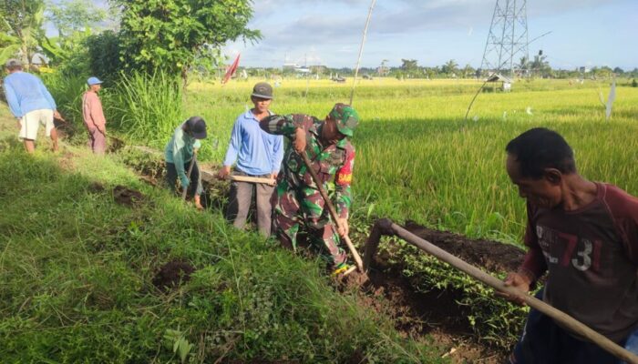 Gotong Royong Bersihkan Saluran Irigasi, Menyemai Benih Persatuan dan Tanggung Jawab Lingkungan