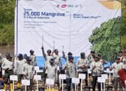 Green Impact Days 2024: Komitmen Tangguh Kasdim 1606/Mataram dalam Penanaman Mangrove Se-Indonesia