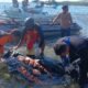 Pemancing Ditemukan Meninggal Dunia di Teluk Saleh Sumbawa