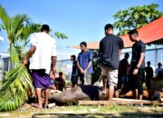 Lapas Lombok Barat Berbagi Kebahagiaan Idul Adha: Hewan Qurban Dibagikan Kepada Warga Binaan