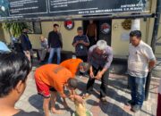 Polresta Mataram Musnahkan Barang Bukti Ganja Seberat 87,65 Gram