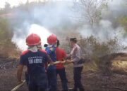 Polres Loteng Bersama Dinas Damkar Berhasil Padamkan Karhutla di Kecamatan Pujut