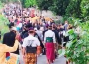 Meriahnya Nyongkolan di Kuripan, Lombok Barat: Ribuan Warga Iringi Pengantin Baru