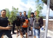 Dua Remaja Mataram Tertangkap Basah Tanam Ganja di Rumah, 139 Gram Ganja dan 4 Pohon Diamankan