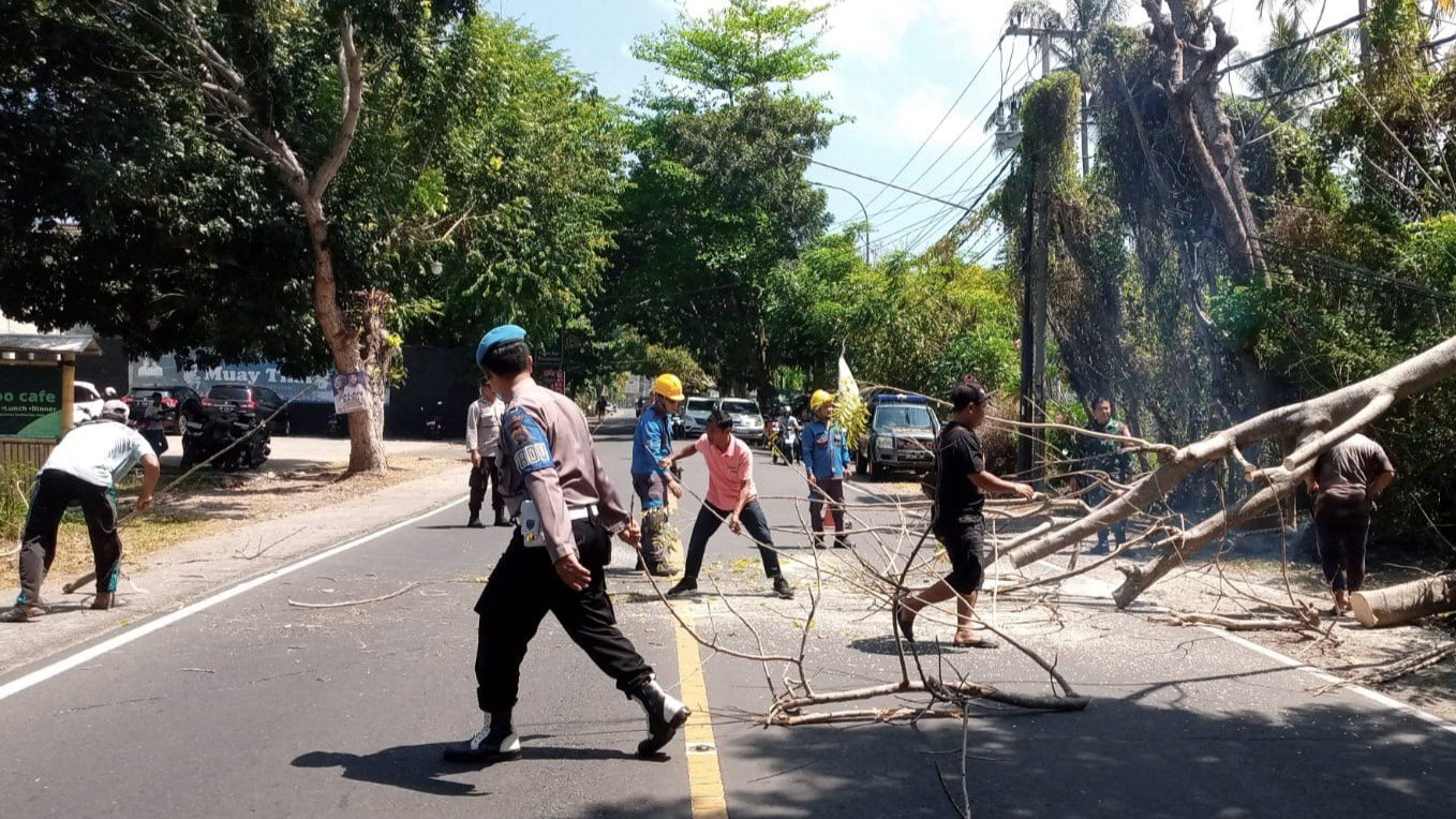 Polsek Batulayar Amankan Penebangan Pohon Rawan Tumbang di Senggigi