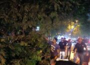 Pohon Tumbang di Jalan Sriwijaya, Polsek Mataram Segera Tindak