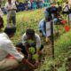 Wartawan bersama PT Mitra Alam tanam pohon di Desa Wisata Selong Belanak Lombok Tengah 