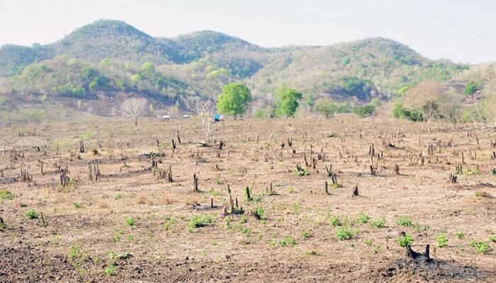 Mengungkap Dampak Mengerikan Tambang Ilegal dan Ilegal Logging di NTB