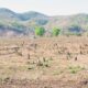 Kerusakan Lingkungan Dampak Tambang dan Illegal Logging di NTB