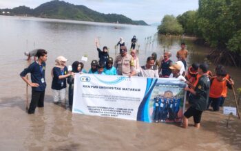 Sinergi Polisi, Mahasiswa, dan Warga Lestarikan Mangrove Sekotong