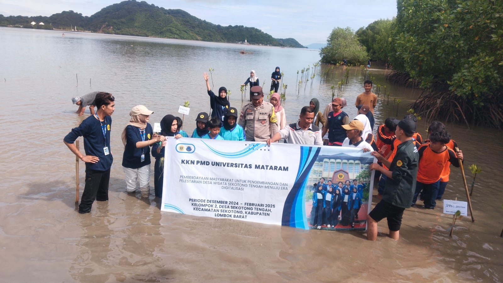 Sinergi Polisi, Mahasiswa, dan Warga Lestarikan Mangrove Sekotong