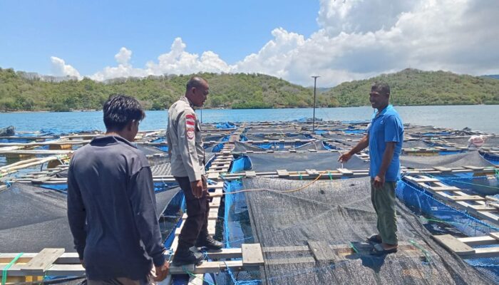 Sinergi Polri & Nelayan: Dorong Ketahanan Pangan di Lombok