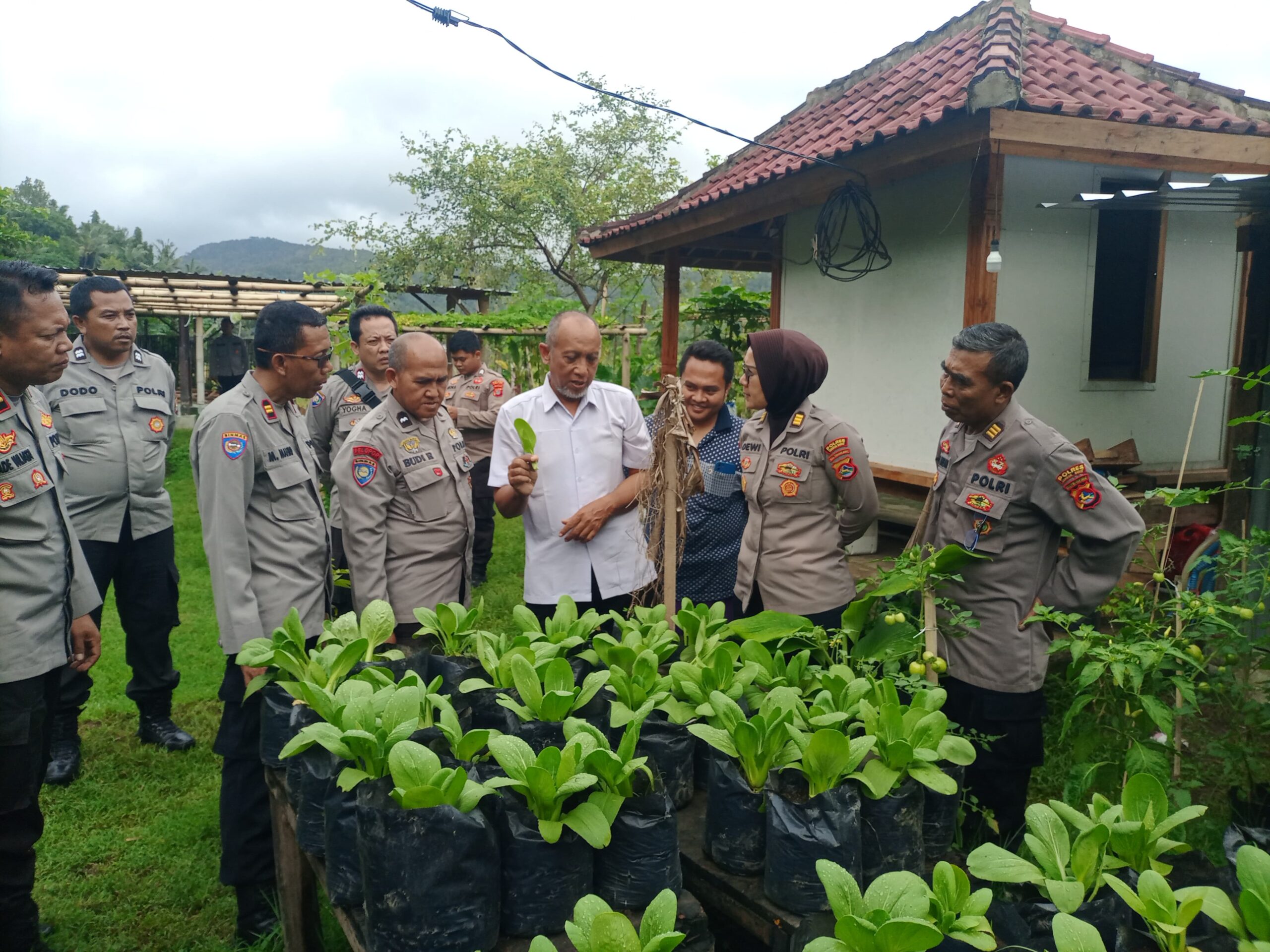 Sinergi Polri dan Masyarakat, Wujudkan Ketahanan Pangan di Lombok Barat