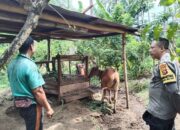 Ketahanan Pangan Keluarga: Warga Batulayar Diajak Manfaatkan Pekarangan