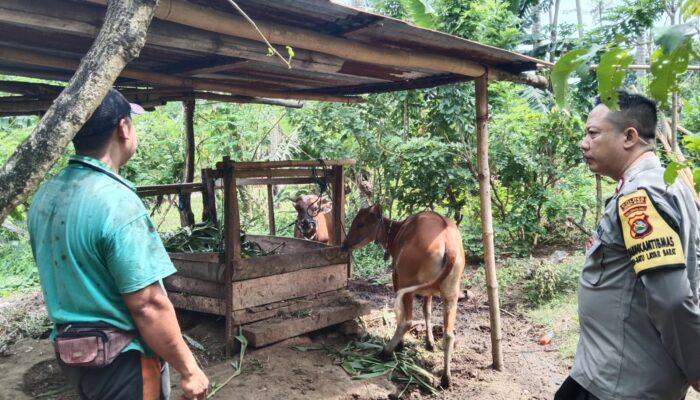 Ketahanan Pangan Keluarga: Warga Batulayar Diajak Manfaatkan Pekarangan