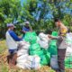 Wujud Dukungan Ketahanan Pangan, Bhabinkamtibmas Kawal Panen Jagung di Lalar Liang