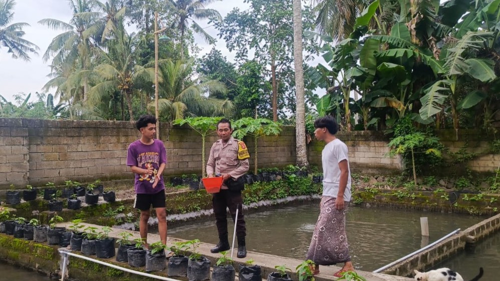 Ketahanan Pangan Kuripan: Bukti Nyata Bakti Bhabinkamtibmas