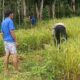 Sinergi Polisi-Petani: Lombok Barat Siap Hadapi Ramadan