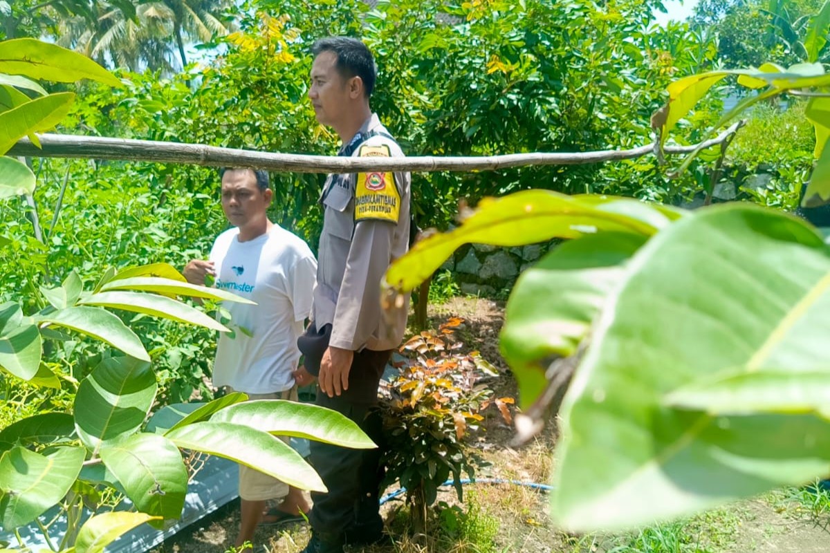 Pekarangan Jadi Sumber Pangan, Kapolsek Labuapi Beri Dukungan Warga