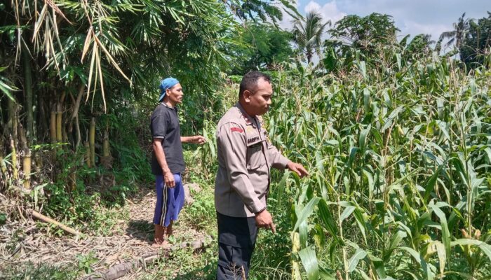 Sambang Petani, Polri Perkuat Swasembada Pangan di NTB