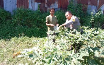 Lombok Barat Bergerak: Sinergi Polisi dan Petani Wujudkan Ketahanan Pangan