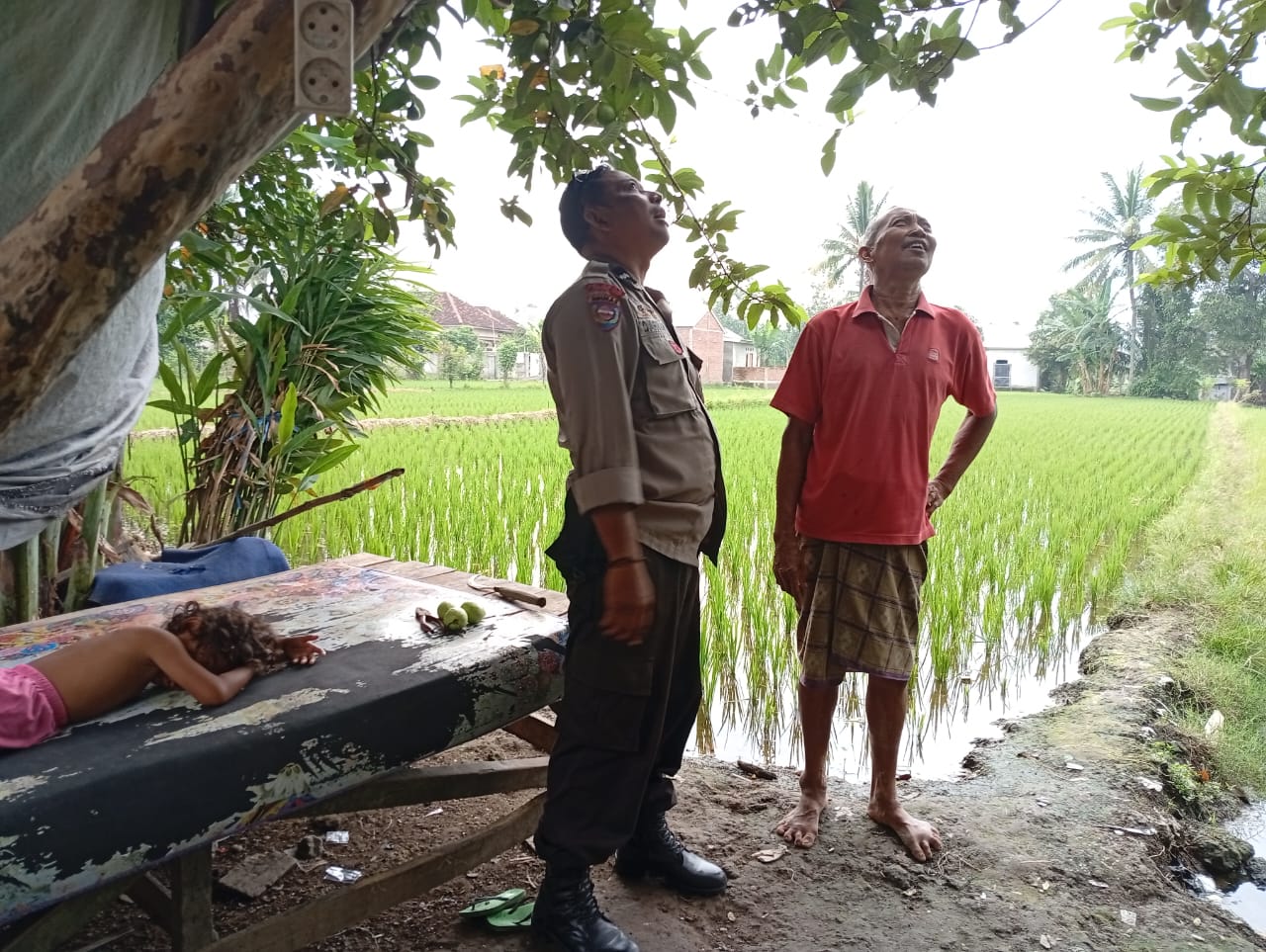 Terobosan Polsek Labuapi: Keamanan dan Ketahanan Pangan Jalan Beriringan