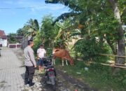 Peran Bhabinkamtibmas dalam Sosialisasi Program P2B di Lombok Barat