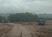 Alarm Darurat Pesisir Sekotong: Reklamasi dan Galian C Ilegal Ancam Hutan Mangrove Pangsing