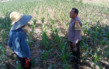 Bhabinkamtibmas Desa Bagik Polak Barat Dorong Kemandirian Pangan