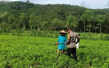 Optimalisasi Pekarangan: Peran Aktif Bhabinkamtibmas