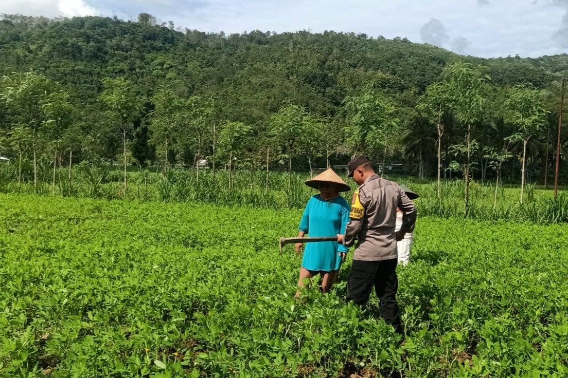 Optimalisasi Pekarangan: Peran Aktif Bhabinkamtibmas