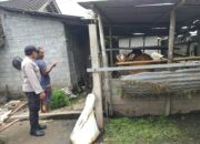 Sinergi Polri dan Warga Dukung Ketahanan Pangan di Desa Jagaraga
