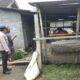 Peran Aktif Bhabinkamtibmas dalam Program Ketahanan Pangan Nasional