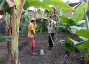 pangan, desa, ketahanan, swasembada, bhabinkamtibmas, pertanian, edukasi, kolaborasi, keamanan, lombok