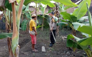 pangan, desa, ketahanan, swasembada, bhabinkamtibmas, pertanian, edukasi, kolaborasi, keamanan, lombok