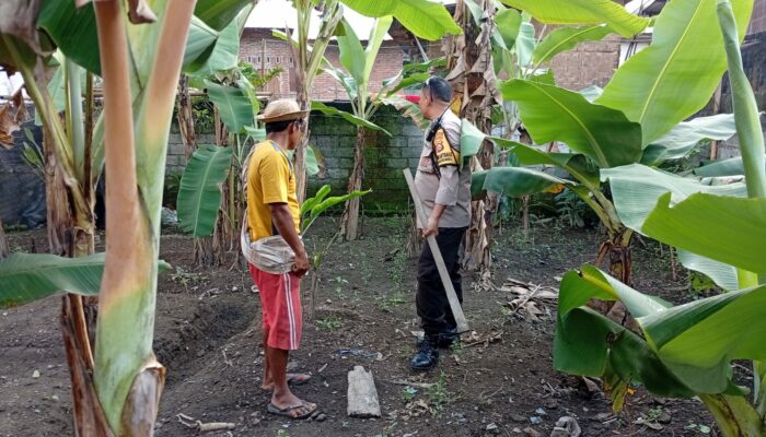 Optimalisasi Potensi Lokal, Desa Merembu Siap Swasembada Pangan