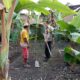 pangan, desa, ketahanan, swasembada, bhabinkamtibmas, pertanian, edukasi, kolaborasi, keamanan, lombok