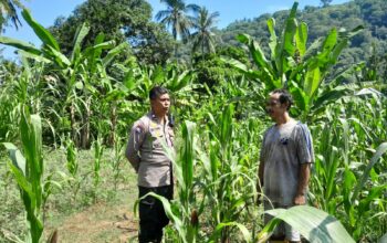 Ketahanan Pangan: Kolaborasi Bhabinkamtibmas dan Warga Desa Senggigi