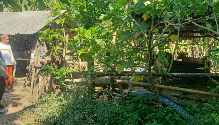 Silaturahmi Polri dan Peternak di Sekotong, Wujudkan Harkamtibmas dan Swasembada Pangan