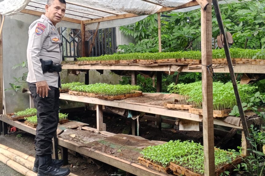 Bhabinkamtibmas Desa Terong Tawah Galakkan Ketahanan Pangan di Desa