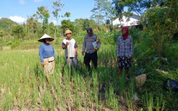 Komitmen Polri dalam Program Ketahanan Pangan di Lombok Barat melalui Kunjungan Bhabinkamtibmas