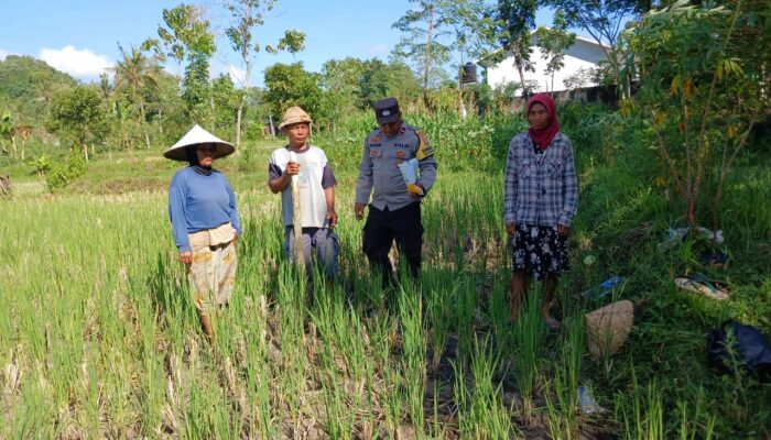Komitmen Polri dalam Program Ketahanan Pangan di Lombok Barat melalui Kunjungan Bhabinkamtibmas