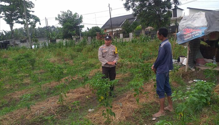 Bhabinkamtibmas Lombok Barat Gelar Sosialisasi Ketahanan Pangan di Desa Jagaraga