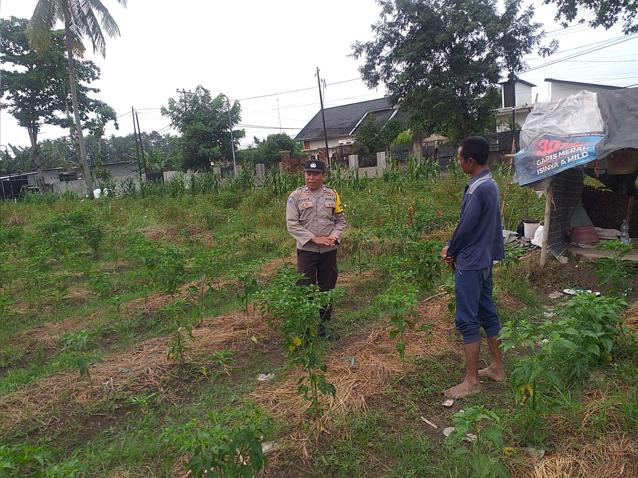 Maksimalkan Lahan Produktif: Polri Ajak Warga Desa Jagaraga Dukung Ketahanan Pangan