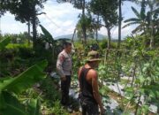 Polsek Kuripan Aktif Sosialisasi Ketahanan Pangan ke Petani Desa Jagaraga
