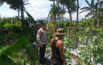 Polsek Kuripan Aktif Sosialisasi Ketahanan Pangan ke Petani Desa Jagaraga