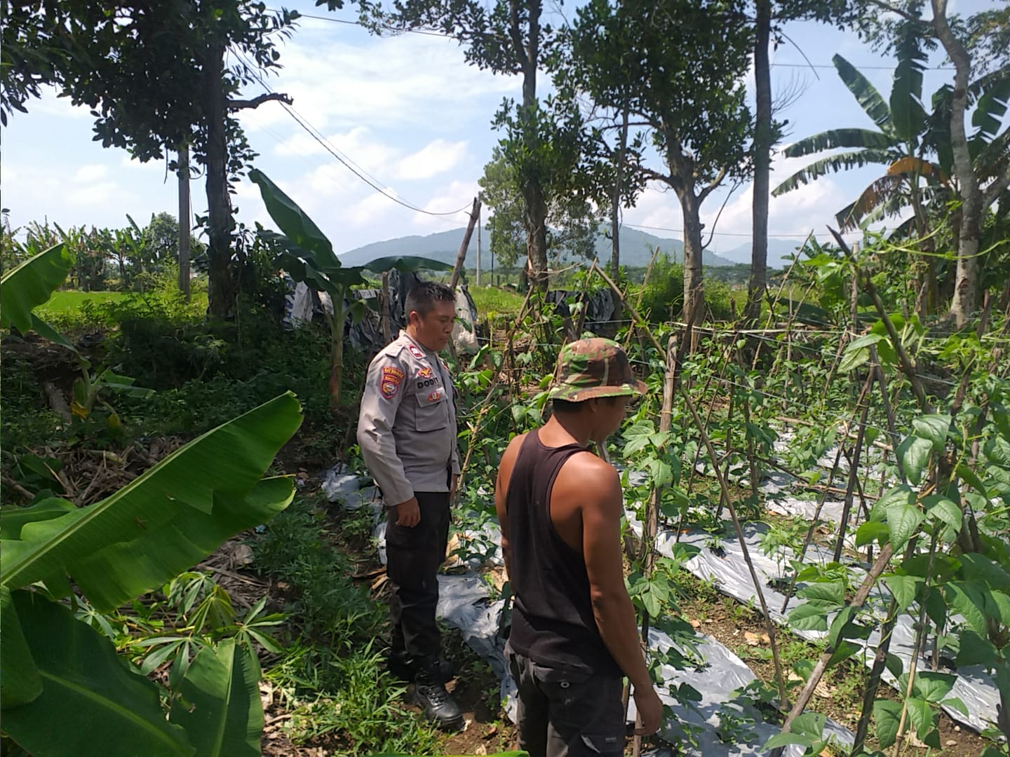 Polsek Kuripan Aktif Sosialisasi Ketahanan Pangan ke Petani Desa Jagaraga